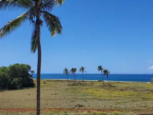 Kepuhi Beachfront Lofted Studio w/pool & BBQ. Remote and Private. Hawaii's best.