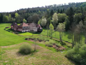 Maison d'hôtes de Charme - Ancien Moulin en Pleine Nature - la Paulusmühle