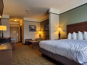 Best Western Plus Emory at Lake Fork Inn  Suites