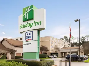 Holiday Inn 休斯頓洲際ARPT