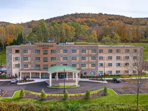 Courtyard Oneonta Cooperstown Area