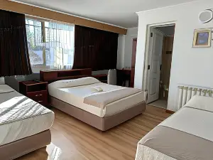 Hotel Kelman