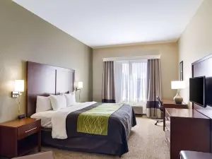 Comfort Inn Blackshear Hwy 84