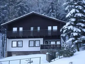 Cozy Chalet in Dolni Brusnice with Swimming Pool