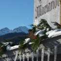 Hotel Mariandl Promo Code