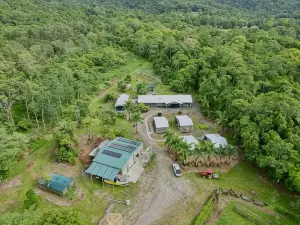 Daintree Peaks Eco Stays