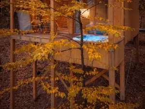 TreeHouses Noszvaj