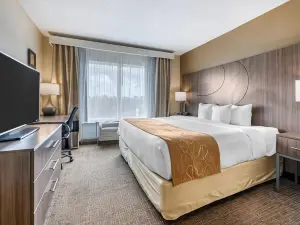 Comfort Suites Sawgrass