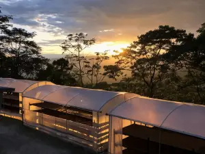 拉帕爾馬與圖坎酒店 - 咖啡與自然