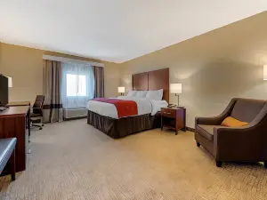 Comfort Inn & Suites Michigan City