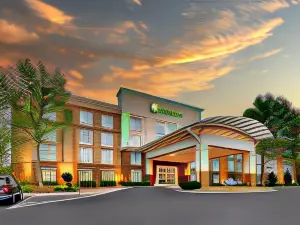 Holiday Inn Franklin - Cool Springs