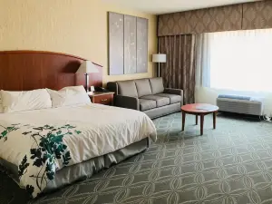 Wingate by Wyndham Elkins