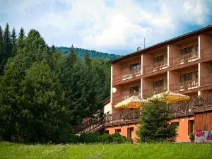 Horský Hotel Podjavorník