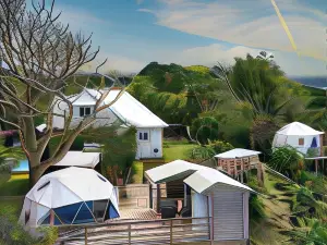 Bubble Dome Village- Glamping