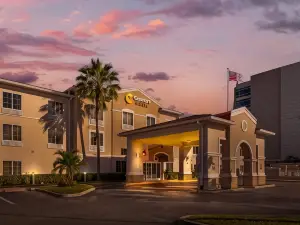 Comfort Suites Downtown