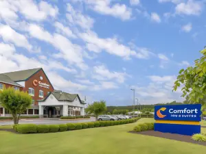 Comfort Inn & Suites Hampton Near Coliseum