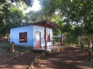 Rosa's Lake Cabins