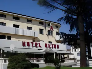 橄欖酒店