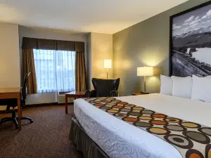 Super 8 by Wyndham Cochrane