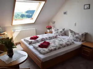 Hotel Carola
