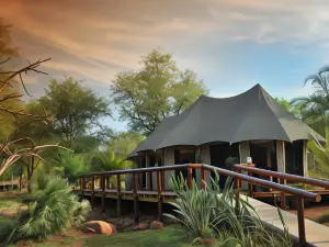 Chisomo Safari Lodge