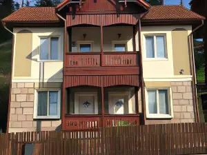 Casa Karola Ház