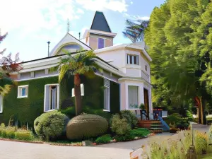 Hotel Alihuen