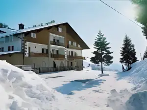 Hotel des Alpes