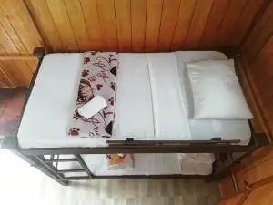 Cabanas orquidea