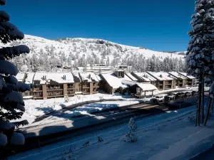 Kirkwood Mountain Resort Properties