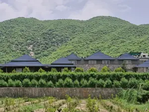 Nature Retreat Resort