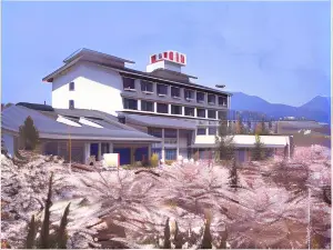 Hotel Kaminoyu Onsen