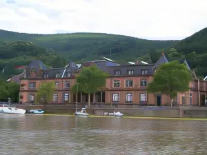 Neu Heidelberg - Guesthouse & Apartments