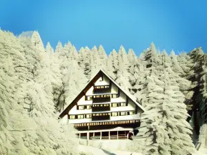 Hotel Tisa Pohorje