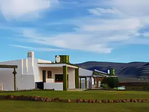 Windfall Wine Farm