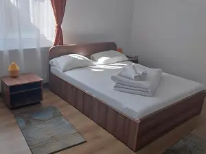 Pensiunea Bujor de Munte