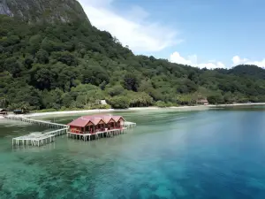 Mountain View Resort & Spa