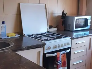 Apartament Gara Mica