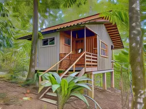 Selva Bananito Lodge