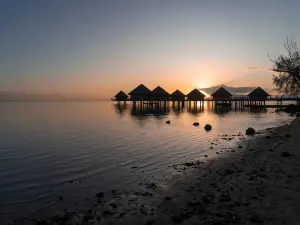 Le Charme Polynésien proximité Plage et Commerces
