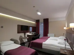 Hotel Silver