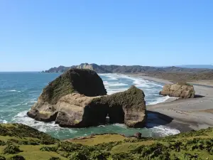 Refugio Parque Tepuhueico Zona Costa
