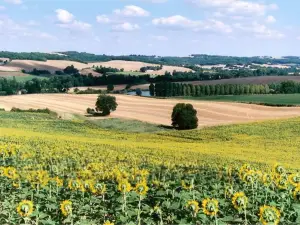 Les Celtes de Gascogne