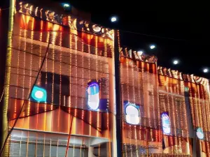 Hotel Vidhya Palace(70 Kms from the Nagaur)