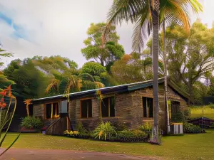 Palm Grove Rainforest Retreat