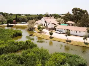 Les Rizières