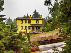 Baldeneige