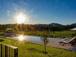 Quinta de Cypriano - Wine & Nature