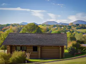 Rêves de Bois