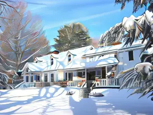 Buttonwood Inn on Mount Surprise